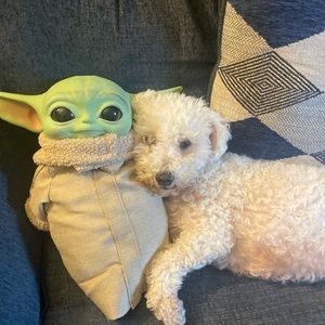 Meet your Posher, Rita